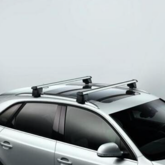 Barras De Techo Audi Q3 8U